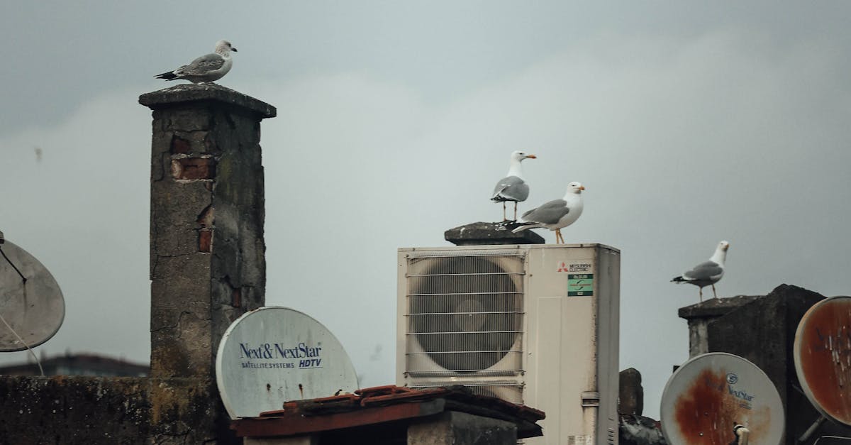 Why Upgrading Your Cooling Systems Can Save Costs